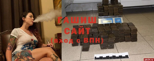 индика Арсеньев