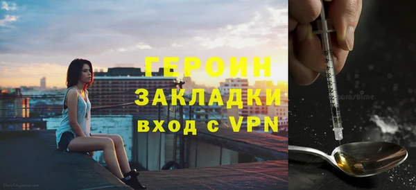 индика Арсеньев