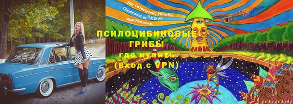 индика Арсеньев
