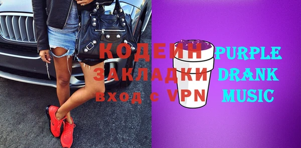 индика Арсеньев