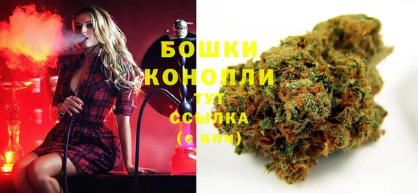 индика Арсеньев