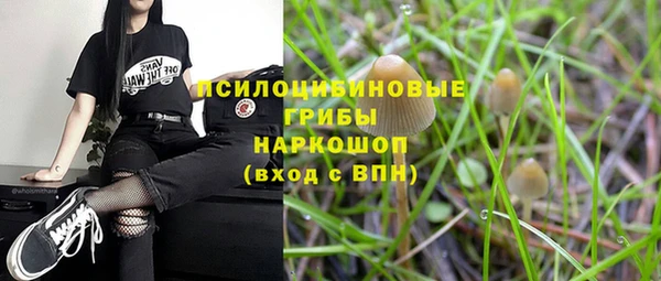 стафф Осташков