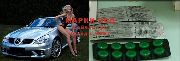 индика Арсеньев